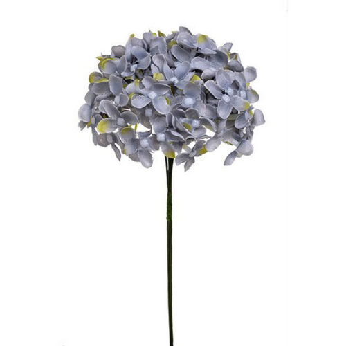 Άγρια πασχαλιά 23cm grey blue