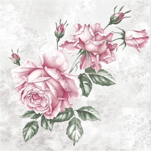 Ροζ τριαντάφυλλα, χαρτοπετσέτα
