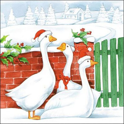 christmas-geese